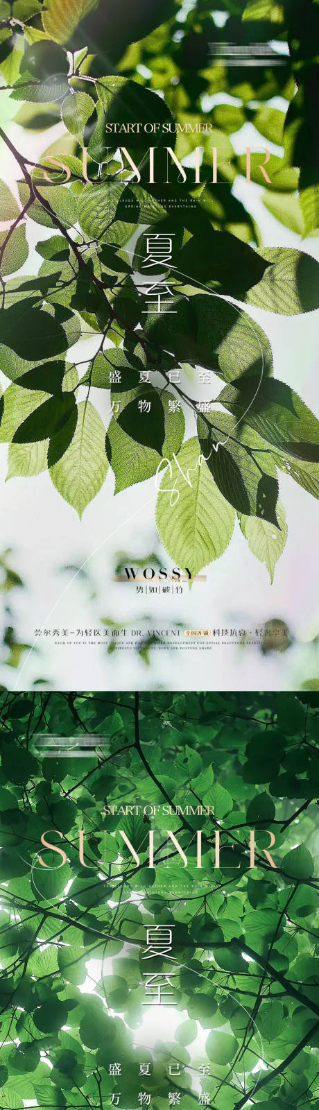 源文件下載【醫(yī)美 】編號：60620024628044462
