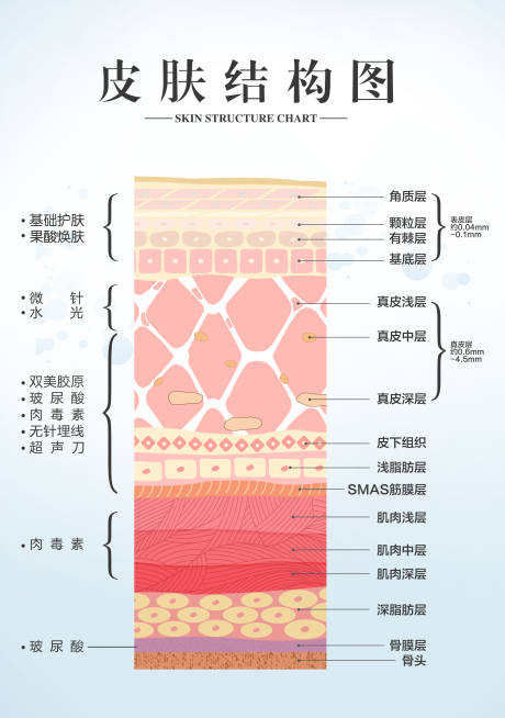 源文件下載【享設計】搜索編號：48300024653712014【醫美皮膚結構】