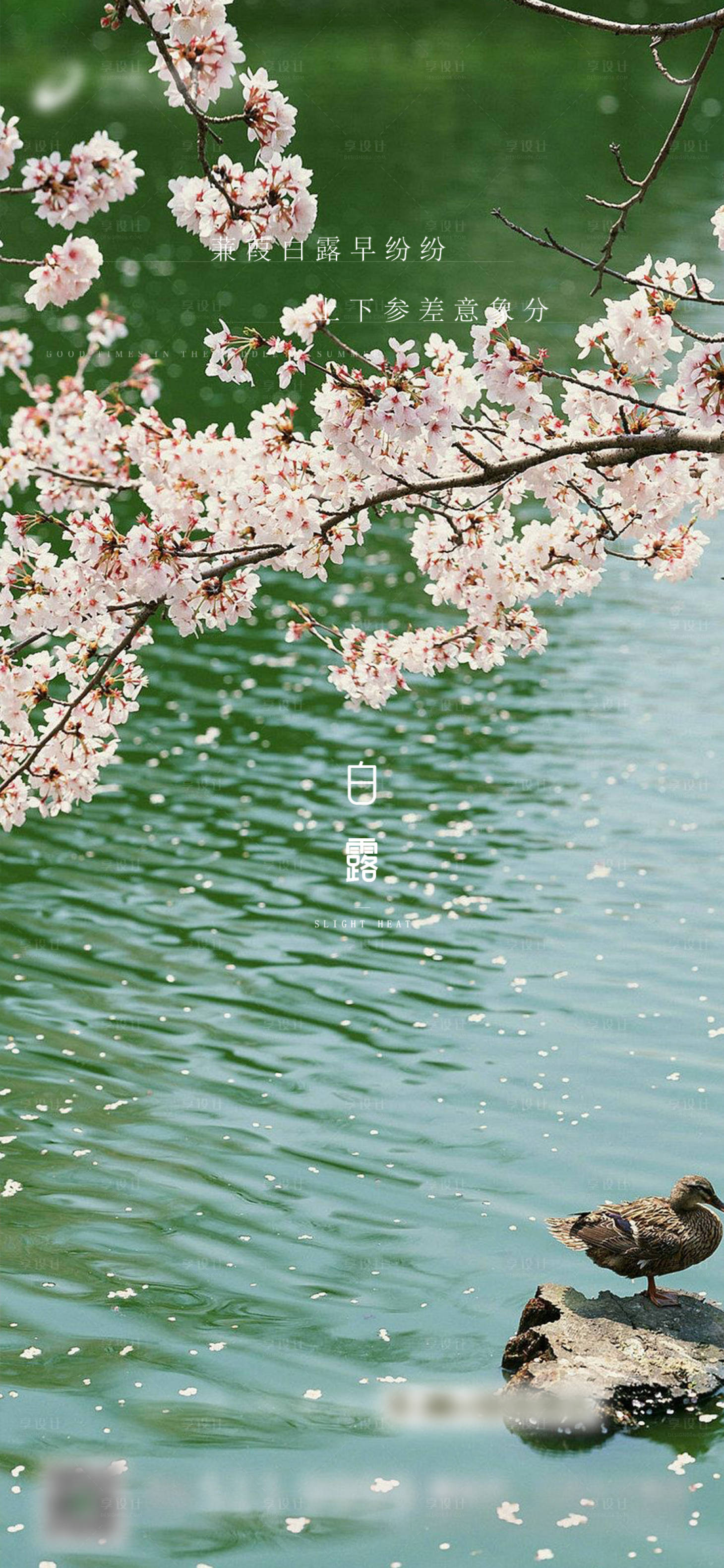 源文件下载【享设计】搜索编号：52560024739123425【白露节气】