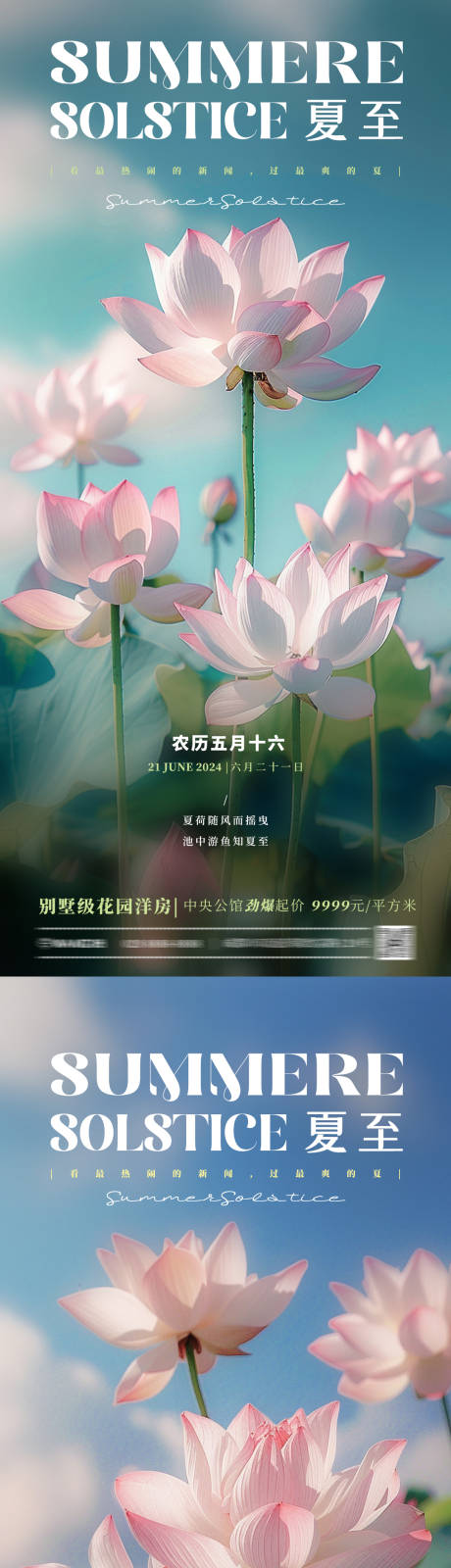 源文件下载【夏至荷花海报】编号：86590024519083009