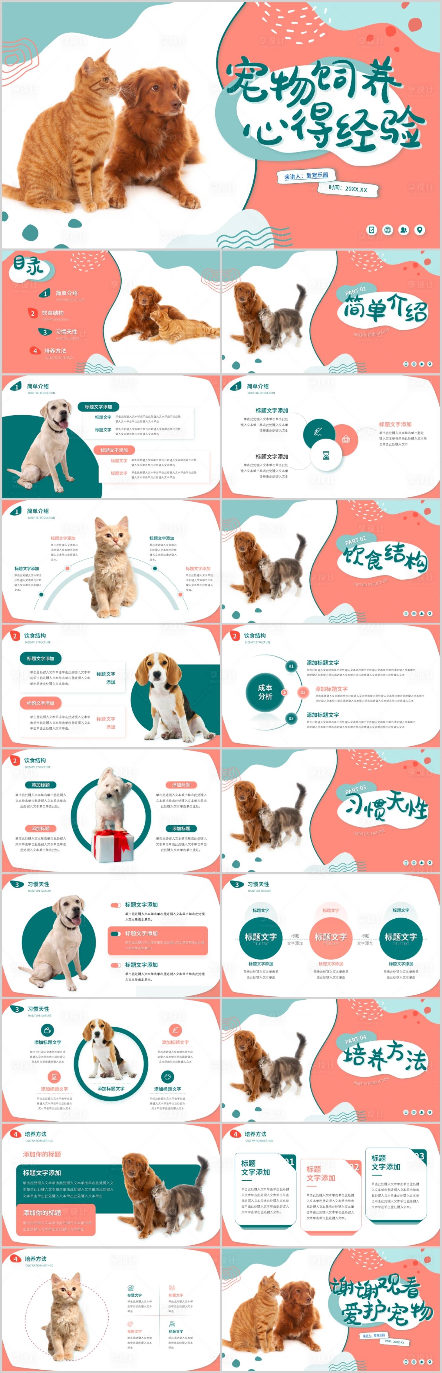 源文件下载【享设计】搜索编号：97100024796348137【宠物饲养心得经验分享PPT】