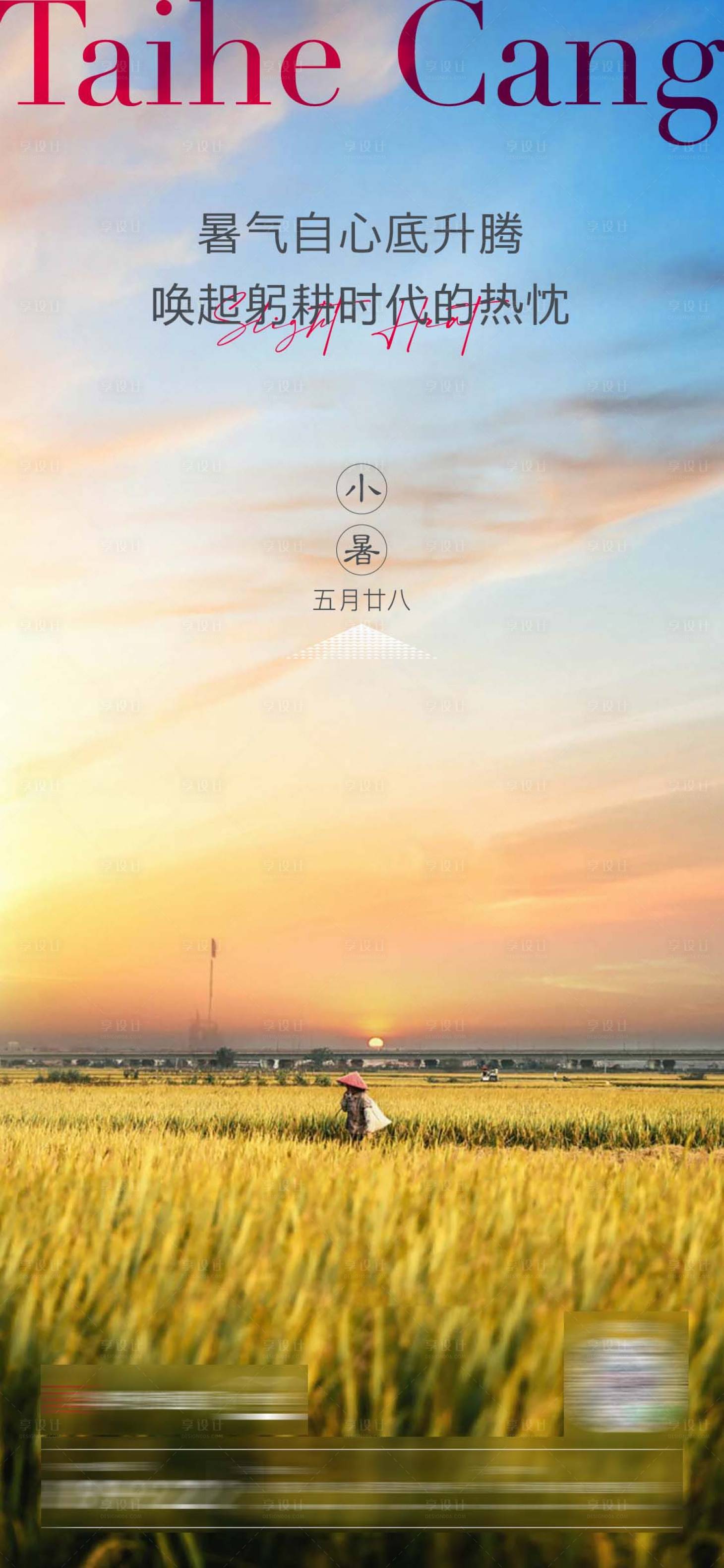 源文件下载【享设计】搜索编号：38060024488684512【小暑节气海报】