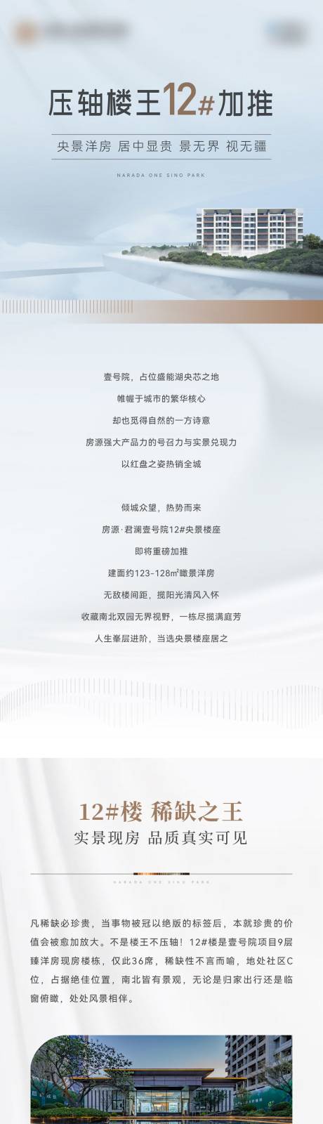 地产楼王加推长图