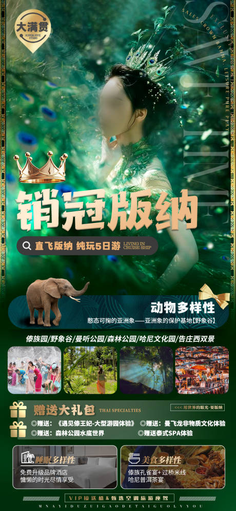 源文件下載【云南版納旅游海報】編號：71370024467091900