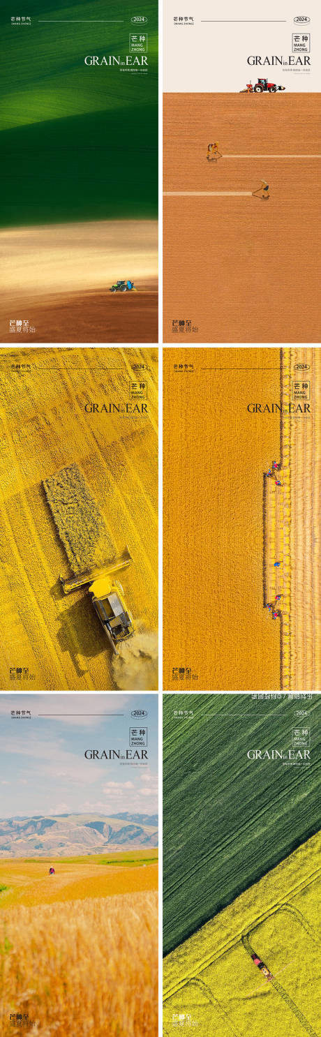 编号：38880024263923850【享设计】源文件下载-芒种24节气麦穗插画海报