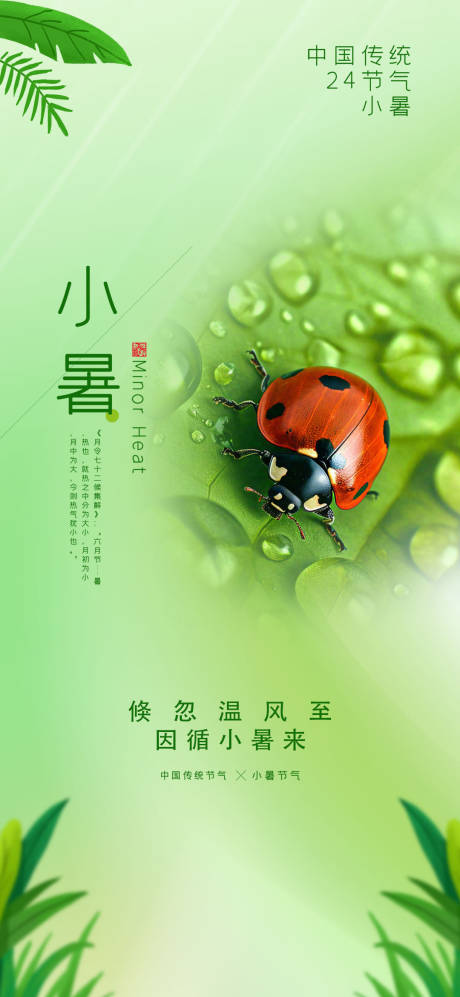 源文件下载【地产夏天小暑海报】编号：43810024544812742