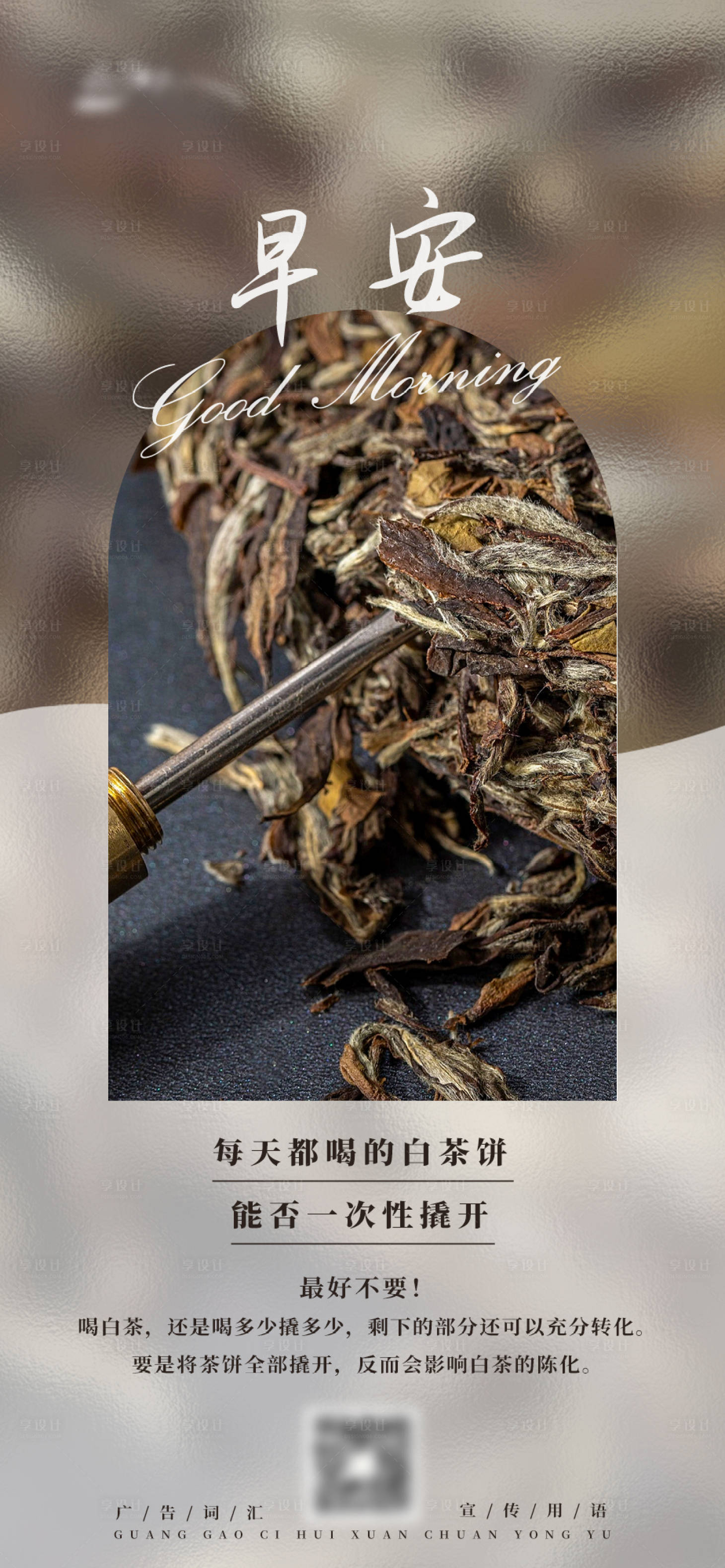源文件下载【享设计】搜索编号：47600024851632138【白茶日签小知识系列】