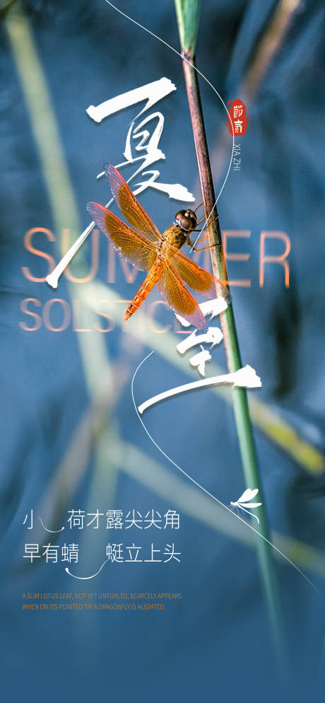源文件下载【享设计】搜索编号：37070024592275979【地产简约节气夏至微信朋友圈海报】