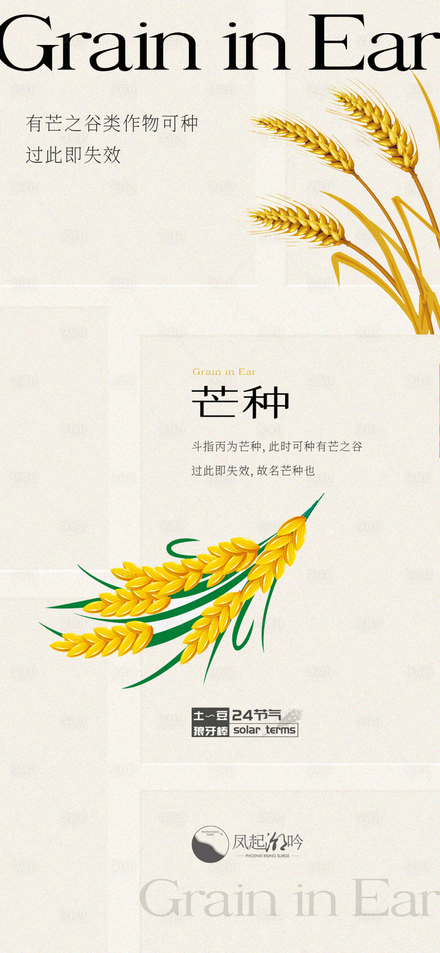 源文件下载【享设计】搜索编号：21790024705788386【芒种节气海报】