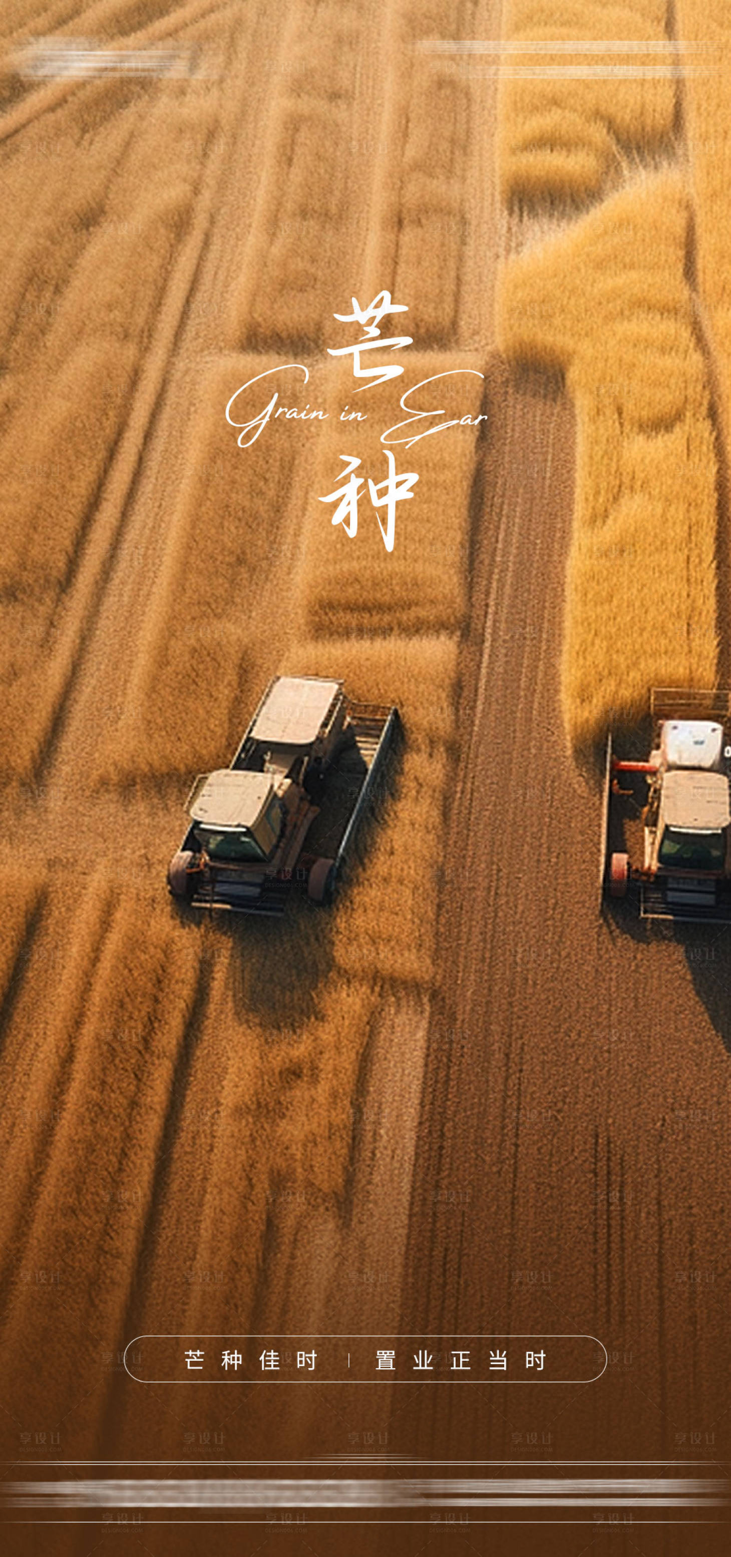 源文件下载【享设计】搜索编号：89240024302594944【芒种海报】