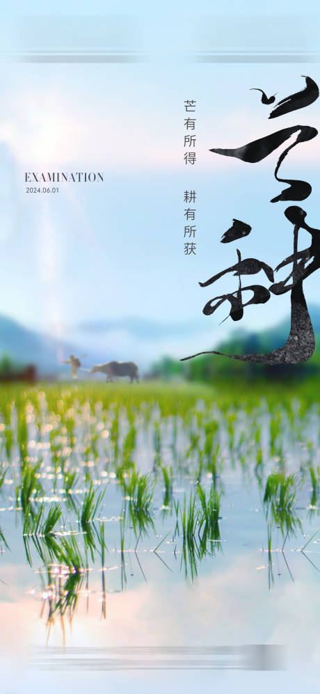 源文件下載【芒種節氣地產海報】編號：76330024289644398