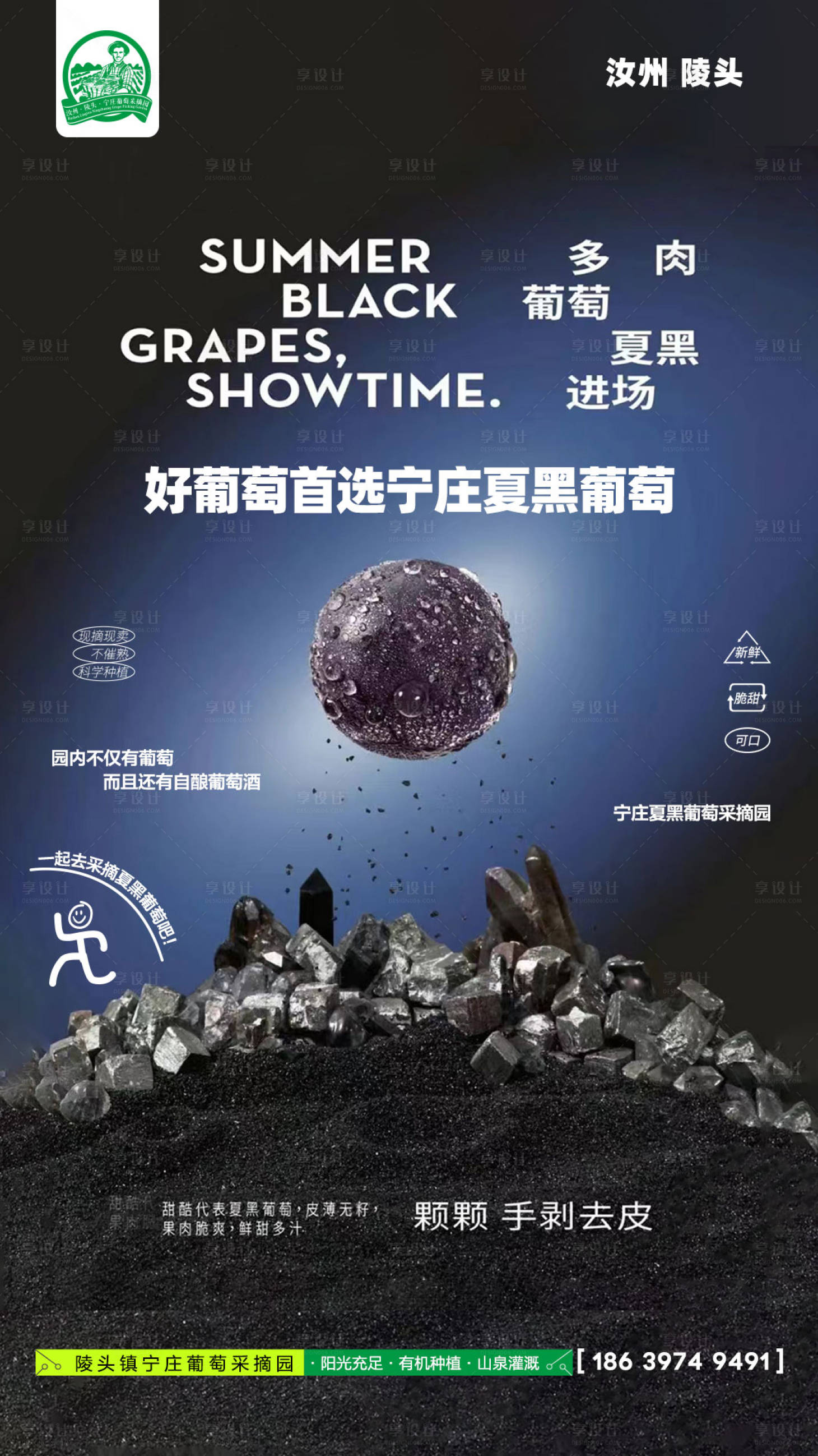 源文件下载【葡萄海报】编号：65240024511665712