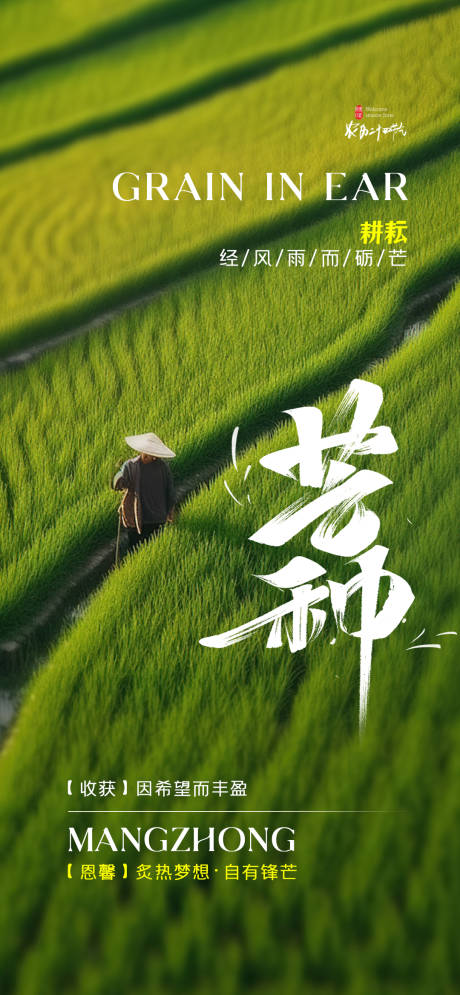 源文件下載【享設計】搜索編號：99990024329255204【芒種節氣海報】