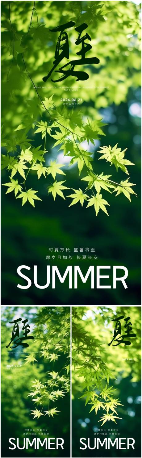 源文件下载【夏至清新海报】编号：12940024539262275
