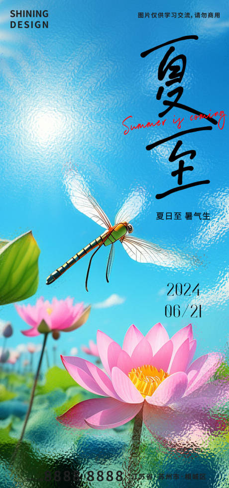 源文件下載【夏至節氣荷塘荷花蜻蜓清爽海報】編號：76090024508514677