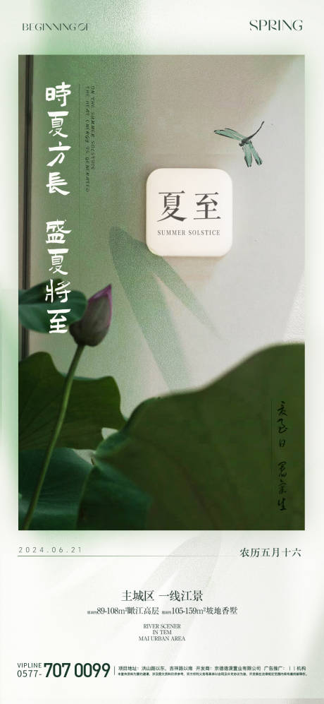 源文件下载【夏至荷花节气海报】编号：66590024584265219