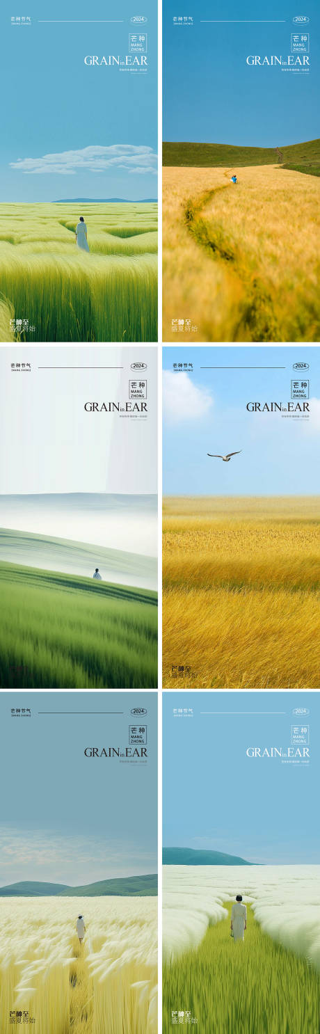 源文件下載【享設計】搜索編號：50390024263913339【芒種24節氣麥穗海報】