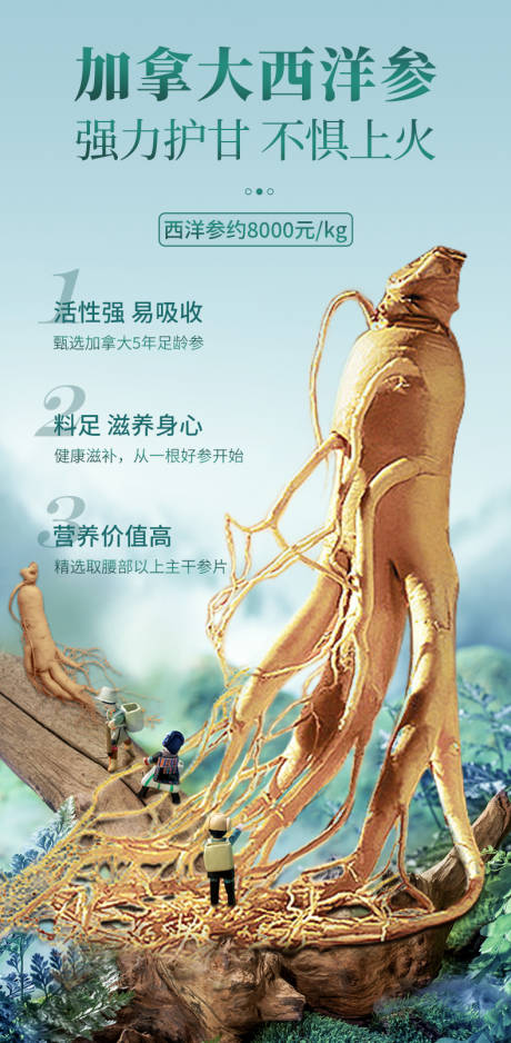 源文件下载【中医西洋参海报】编号：30050024820226460