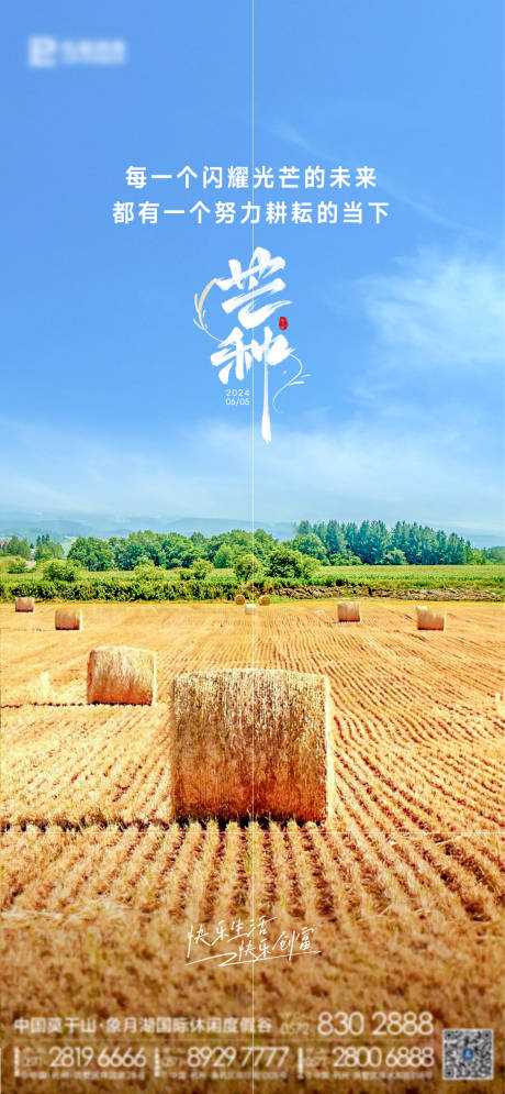芒种节气海报