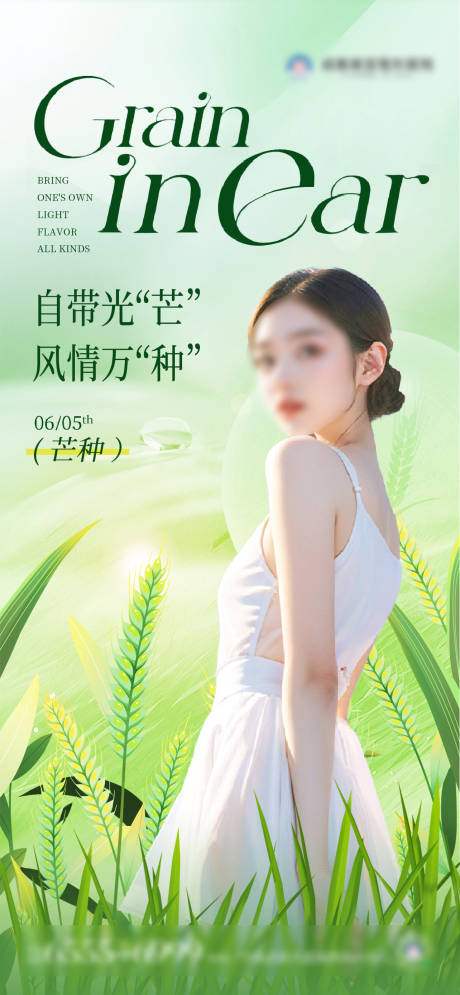 源文件下载【医美美业芒种节气海报】编号：49780024316998234