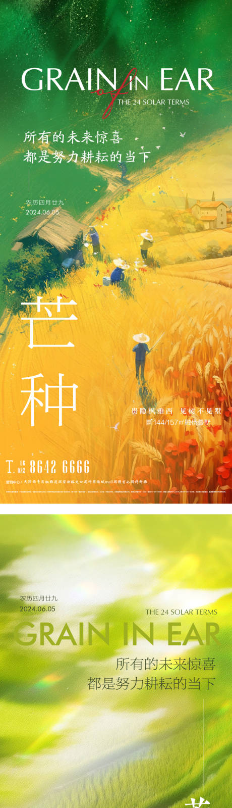 芒种节气系列海报