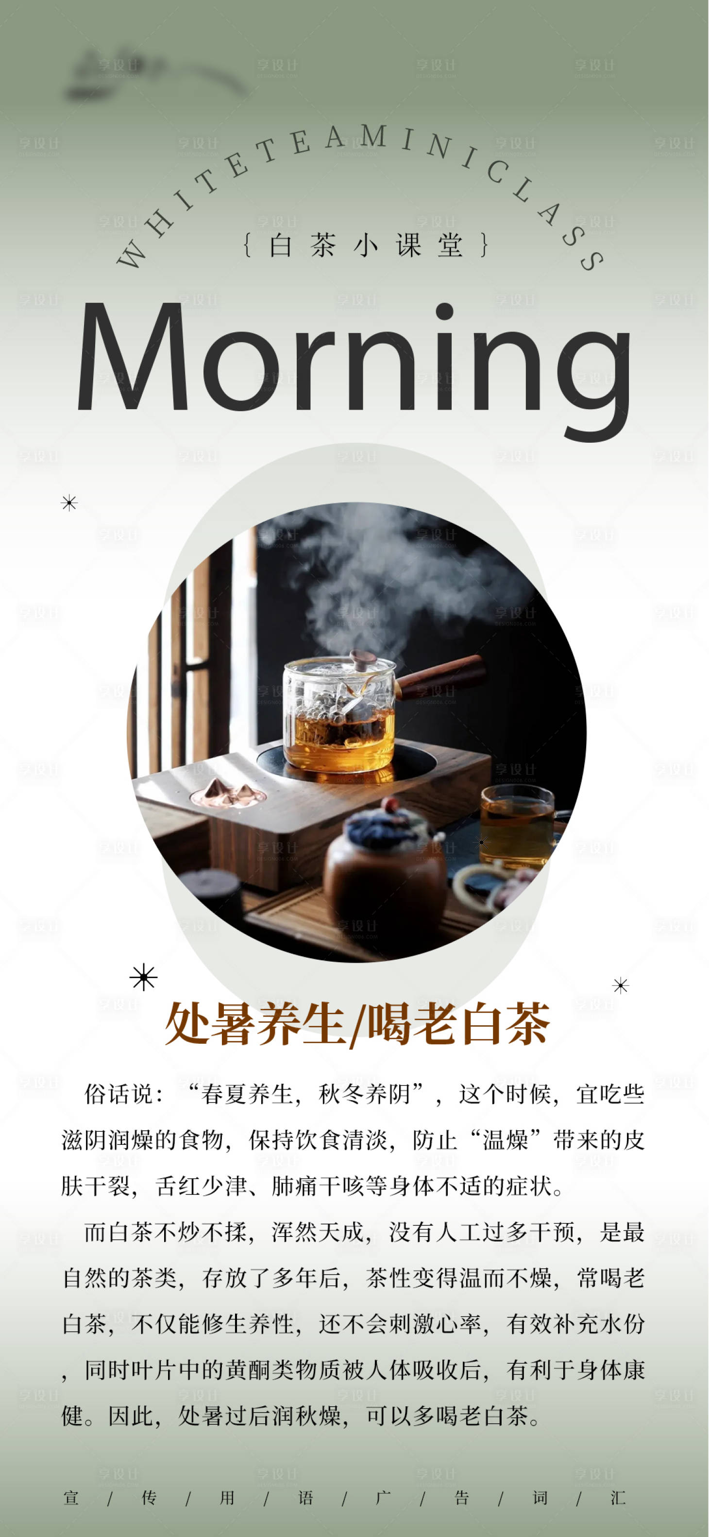 源文件下载【白茶日签小知识系列】编号：19200024850998250