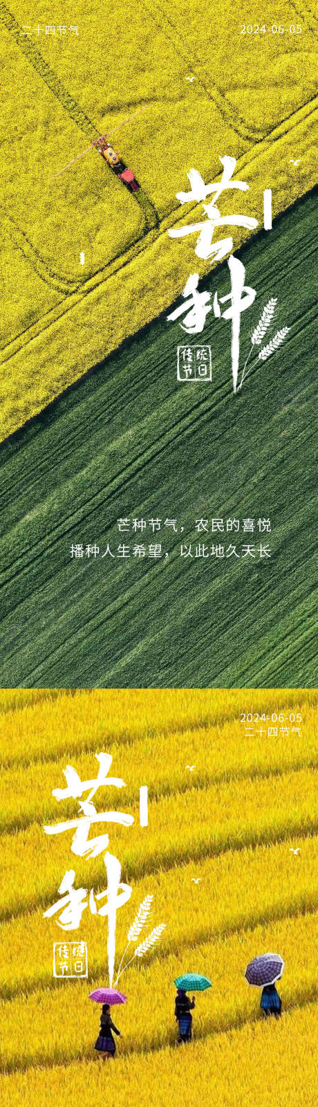 源文件下载【芒种海报】编号：70660024298711127
