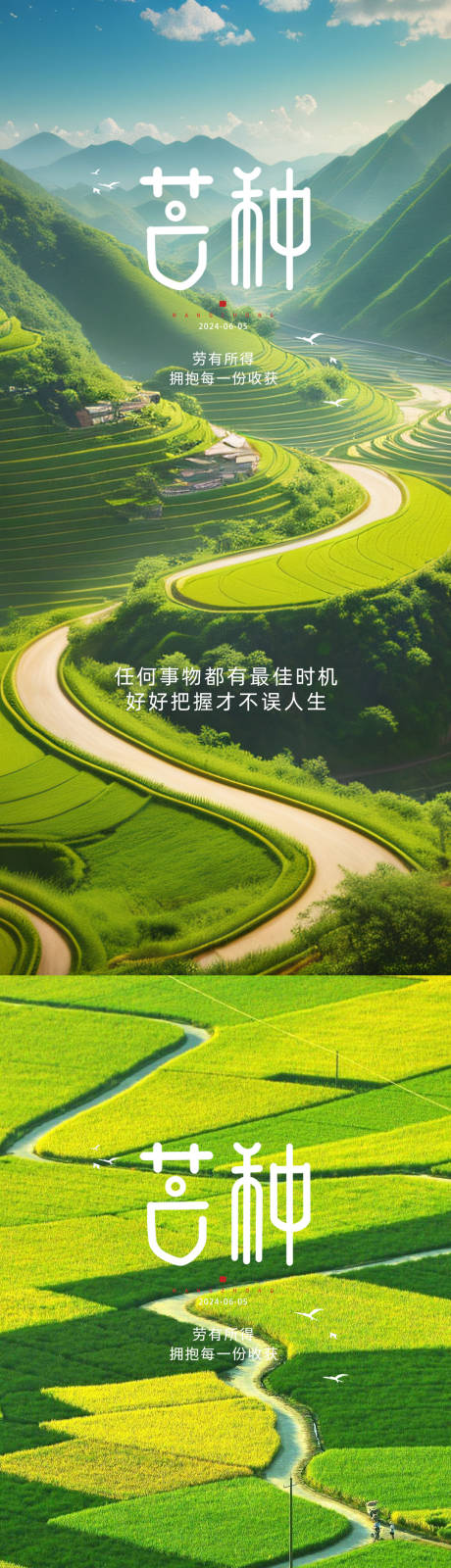 源文件下載【芒種節氣海報】編號：10620024298858606