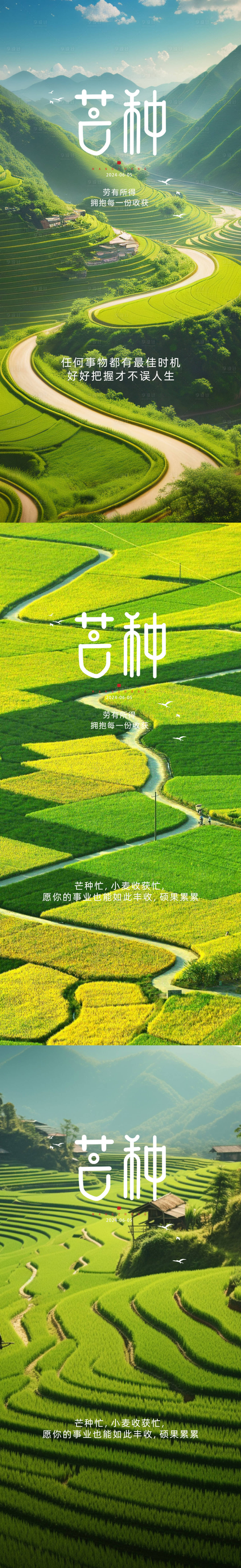 源文件下載【芒種節氣海報】編號：10620024298858606