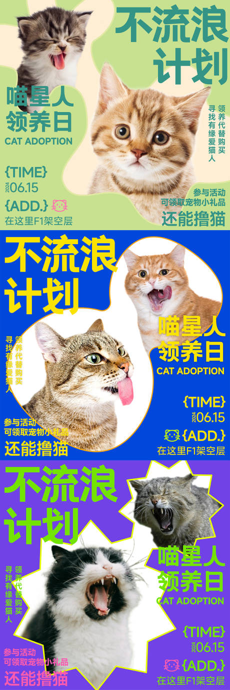 编号：26260024532942499【享设计】源文件下载-流浪宠物猫咪领养活动系列封面海报