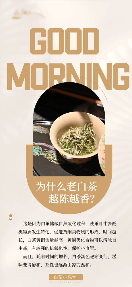 源文件下载【白茶日签小知识系列】编号：90260024851376807