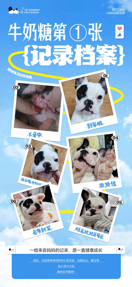 源文件下载【宠物记录照片海报】编号：94460024379967594