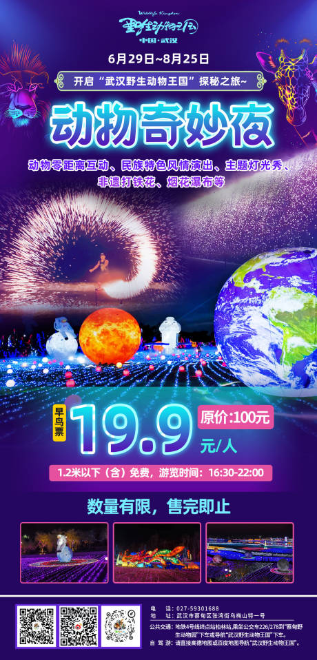 动物奇妙夜旅游海报