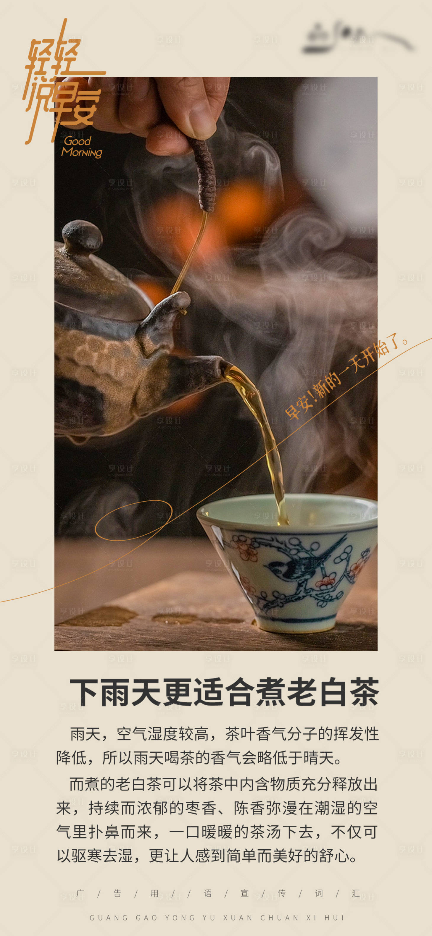 源文件下載【享設計】搜索編號：22240024851644396【白茶日簽小知識系列】