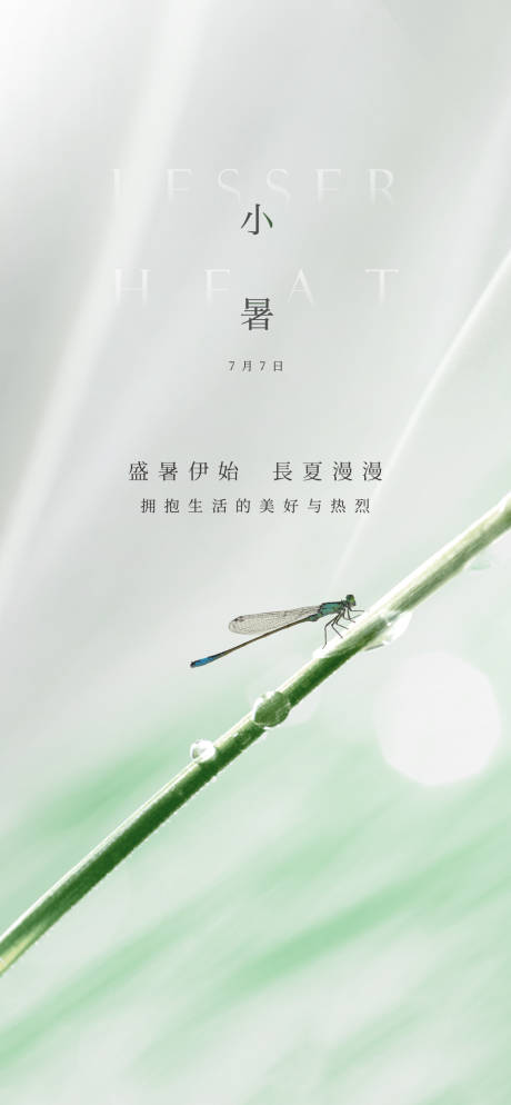 源文件下载【小暑海报 节气海报】编号：64630024834471396