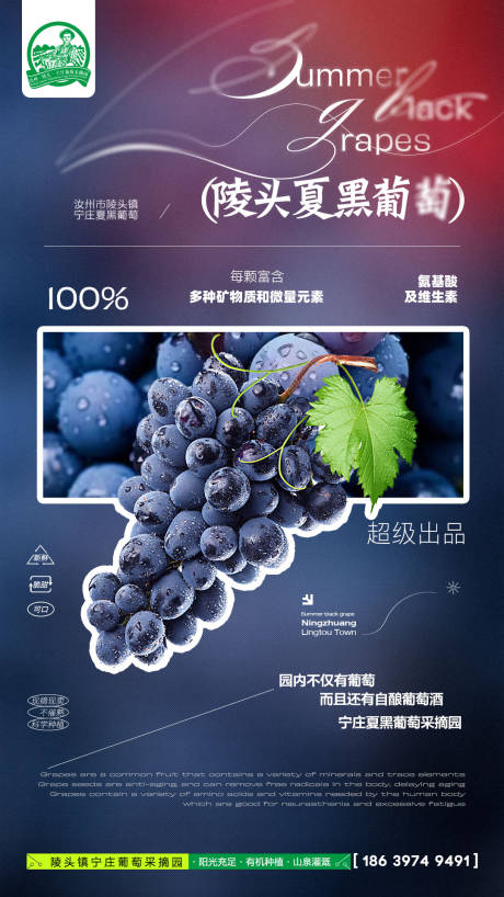 源文件下載【享設計】搜索編號：89030024486696193【葡萄水果移動端海報】
