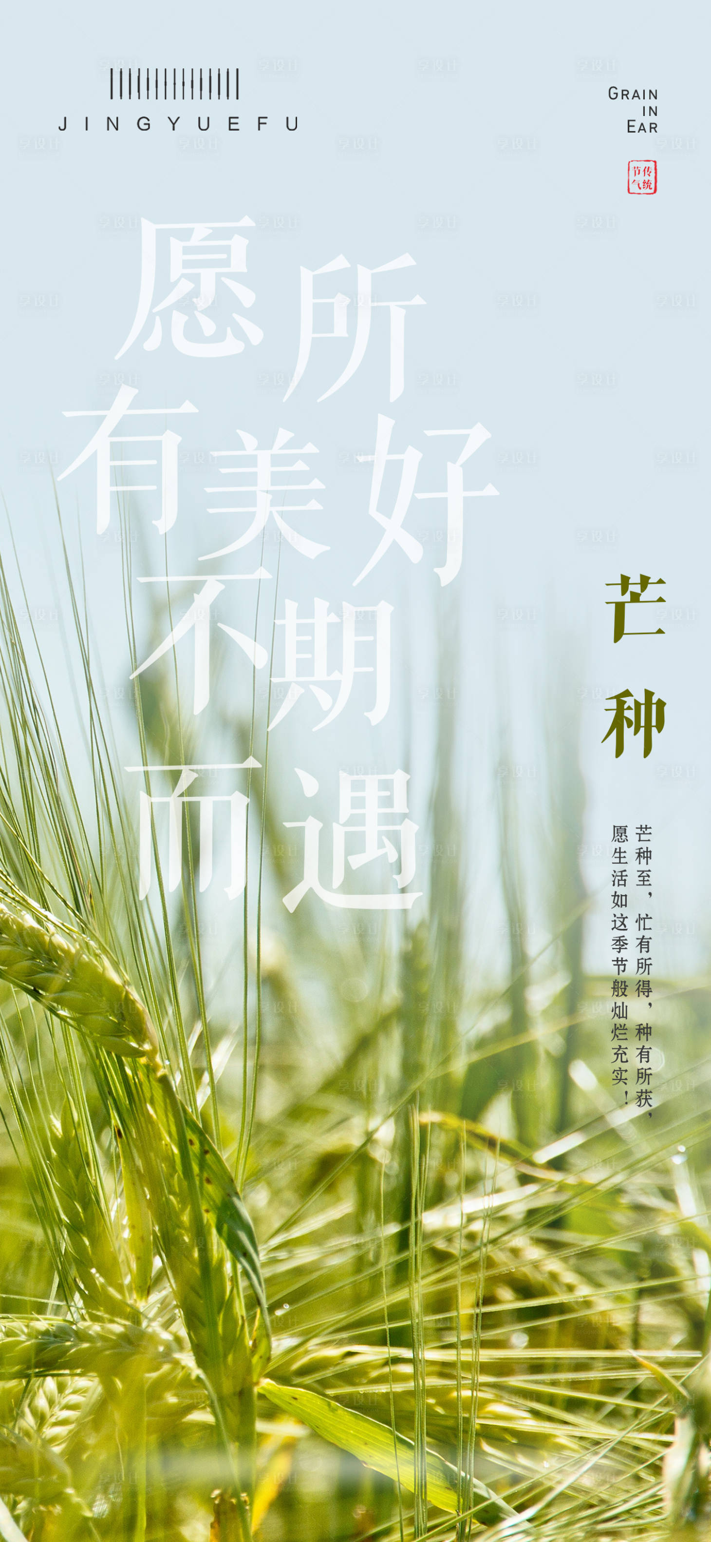 源文件下载【芒种节气海报】编号：12680024357096093