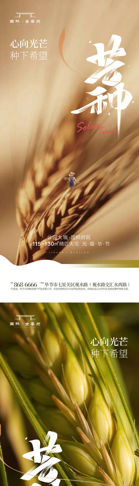 源文件下载【芒种节气海报】编号：17180024274625962