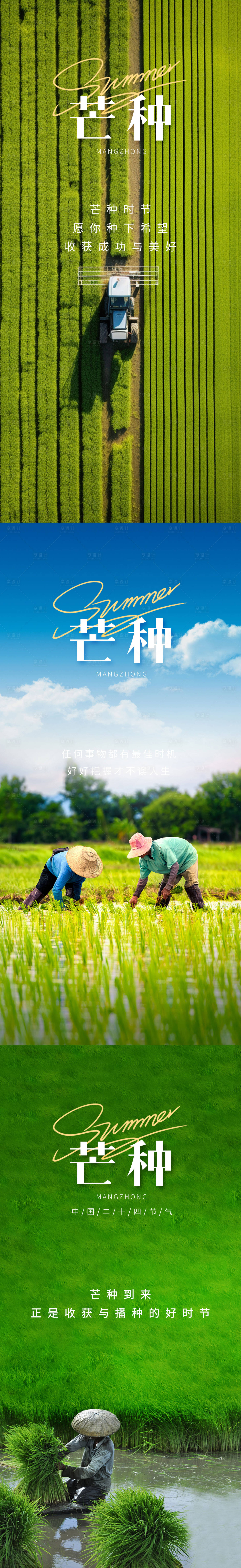 源文件下載【享設(shè)計】搜索編號：29540024299153293【芒種節(jié)氣簡約海報】