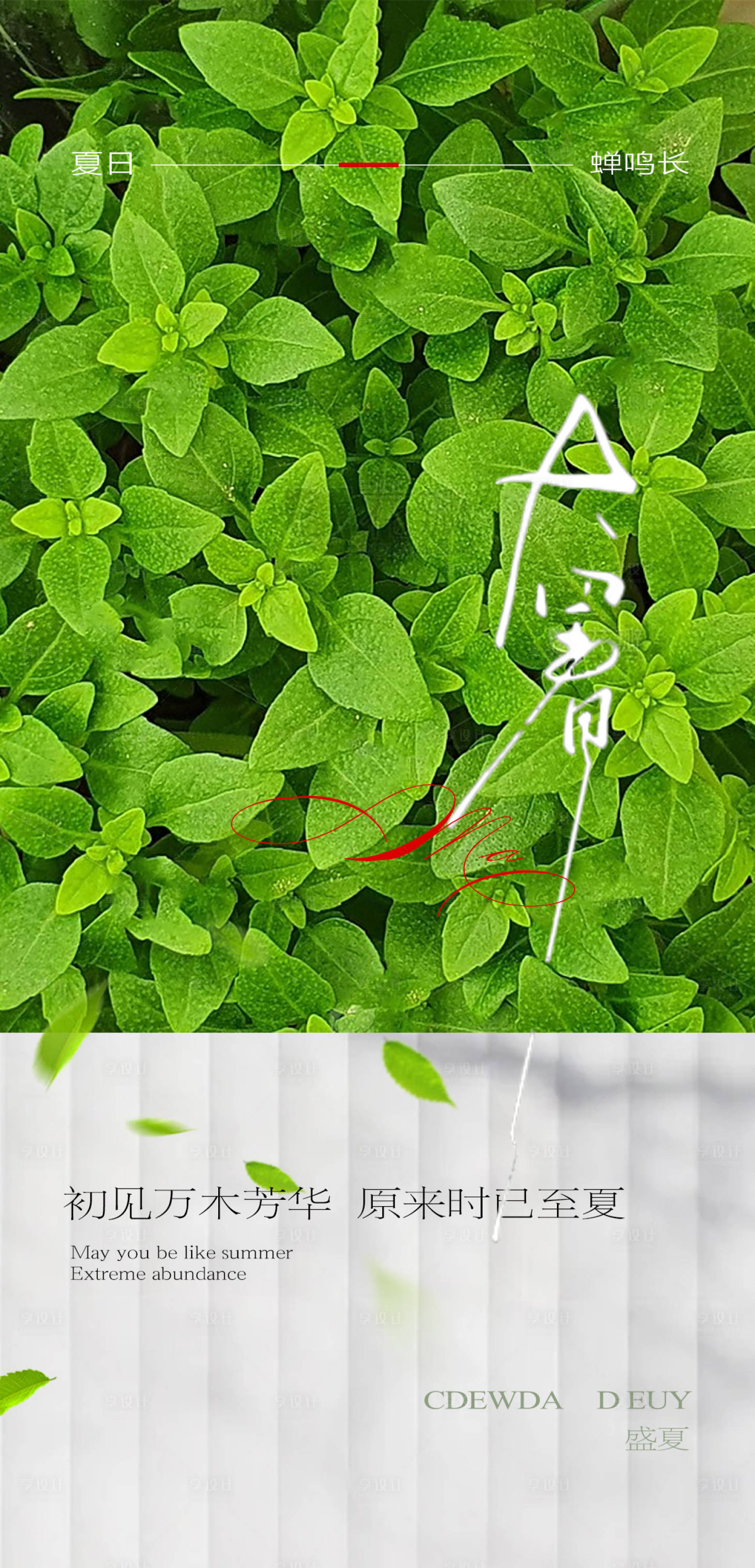 源文件下载【小暑节气海报】编号：46060024788696378