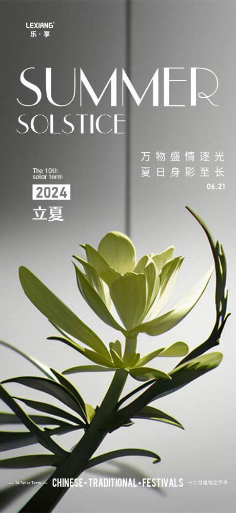 源文件下载【夏至节气海报】编号：71610024410058676