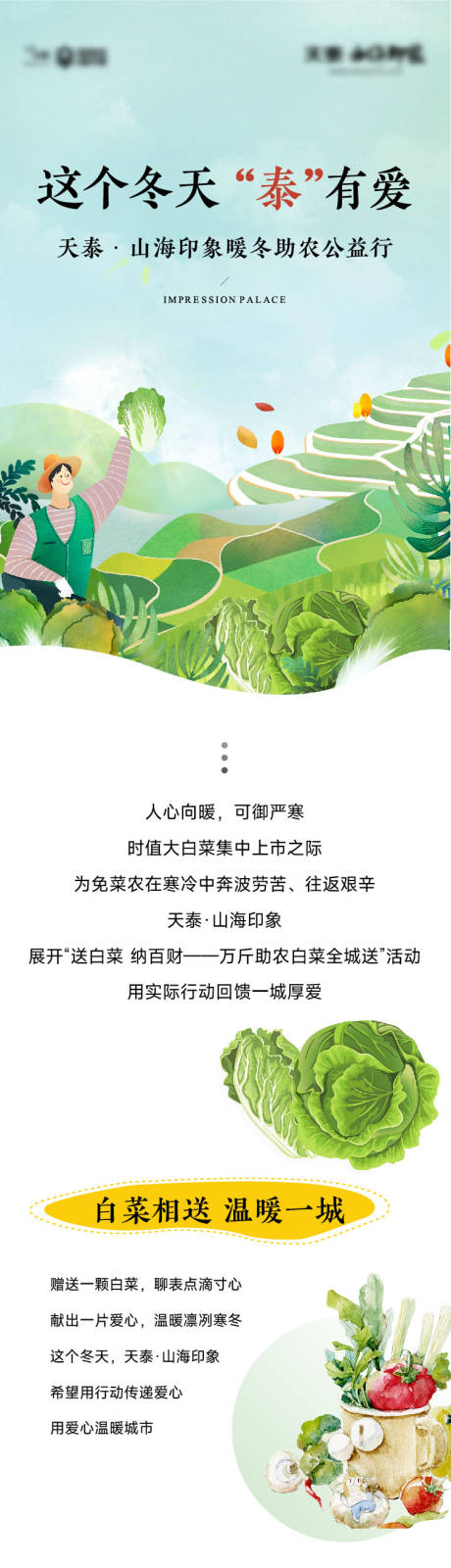 送白菜活动海报