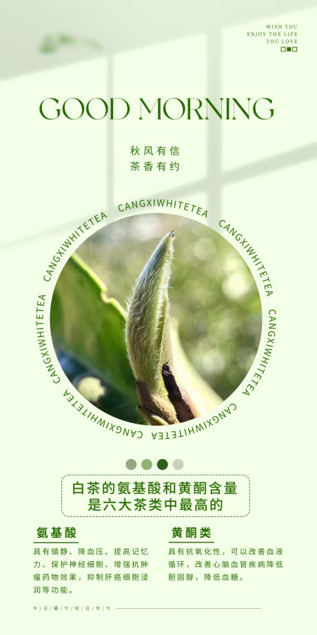 源文件下載【白茶日簽小知識系列】編號：24280024851589352