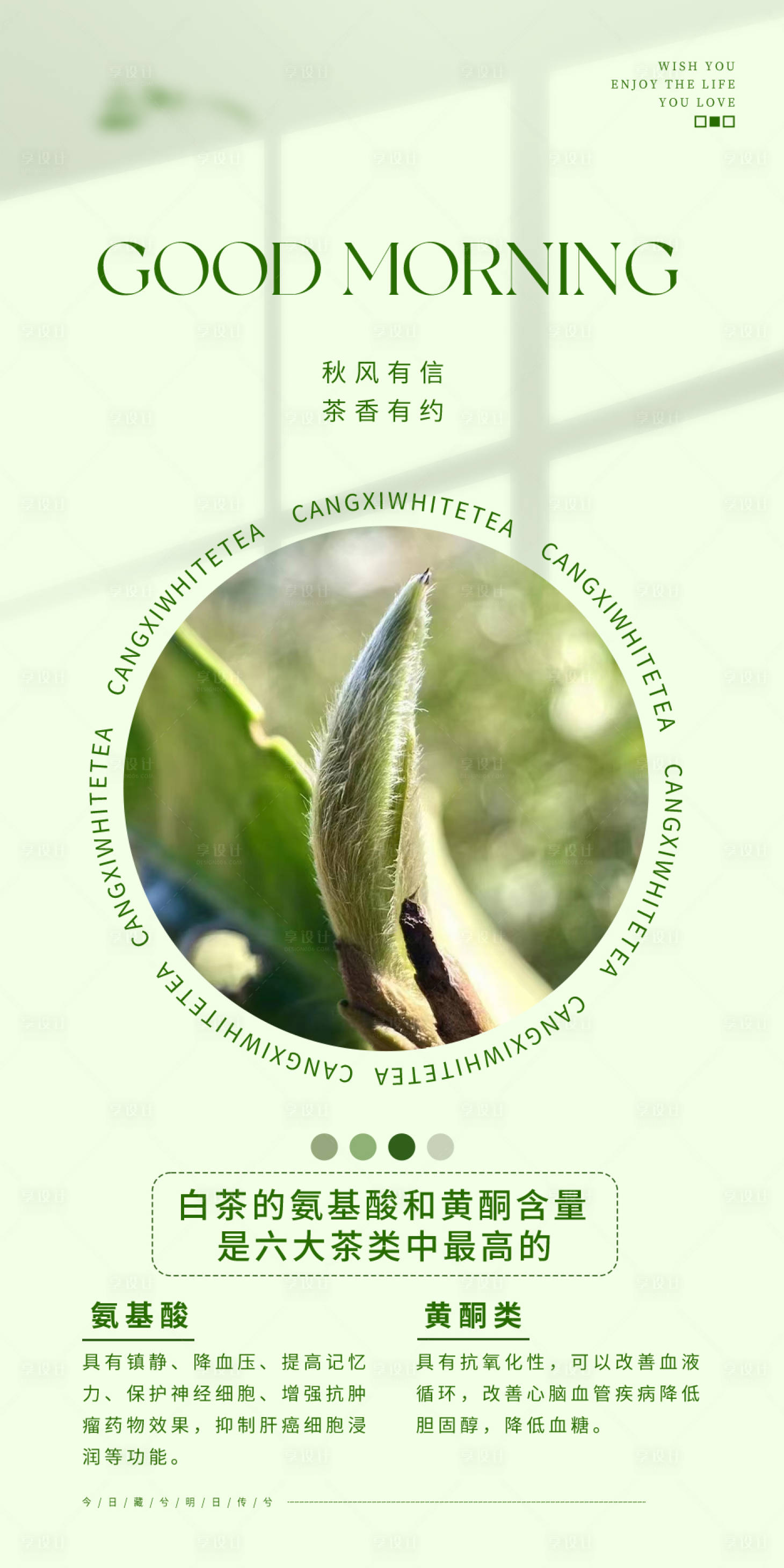 源文件下载【享设计】搜索编号：24280024851589352【白茶日签小知识系列】
