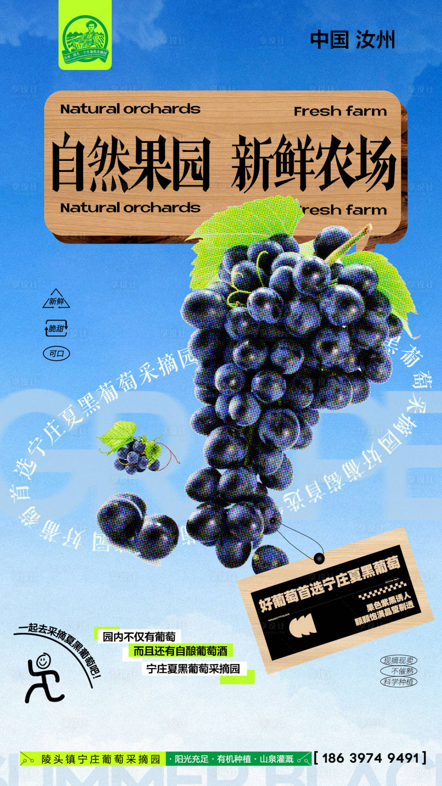 源文件下载【享设计】搜索编号：56200024511573381【葡萄采摘园海报】