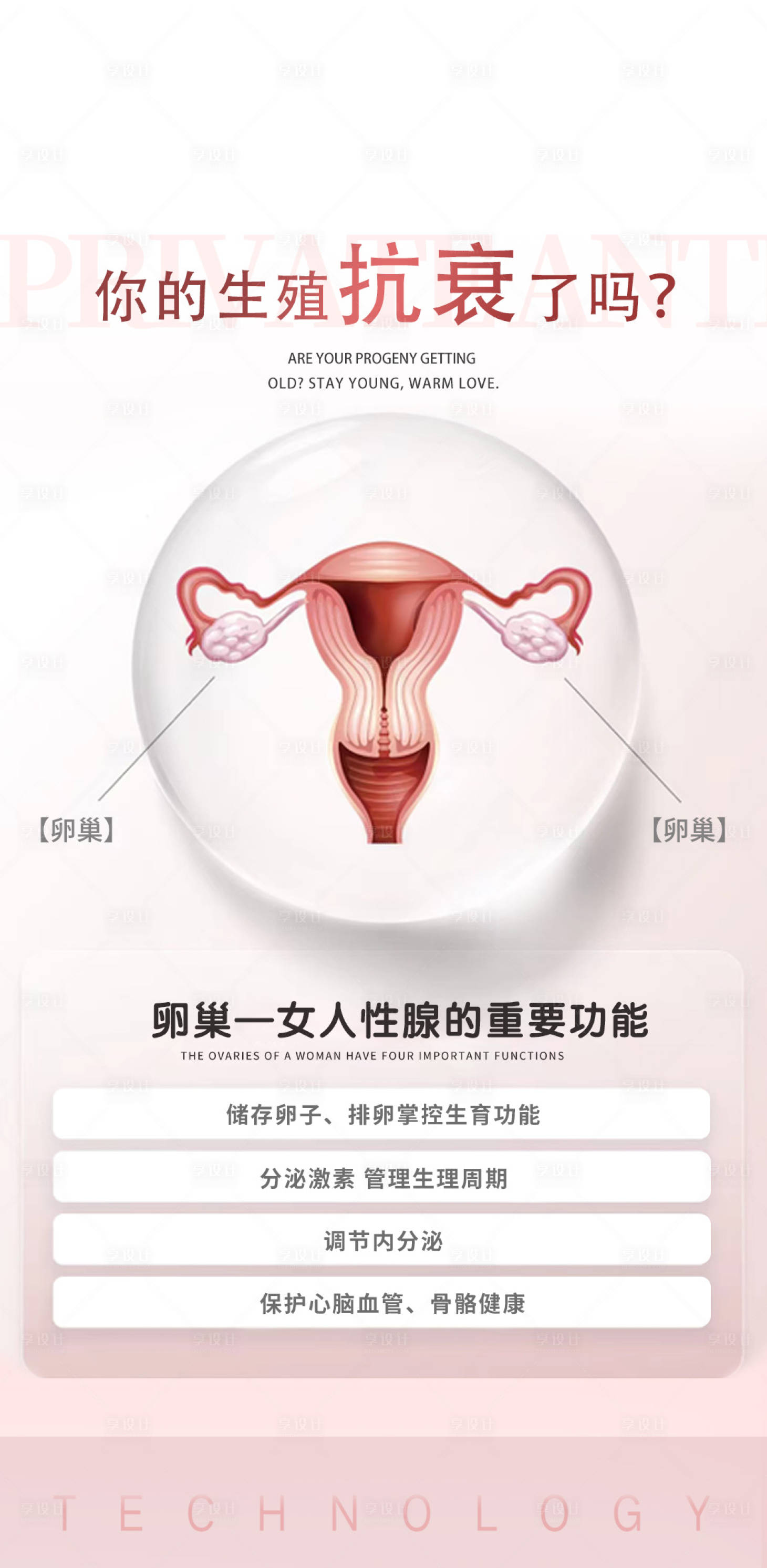 源文件下載【享設計】搜索編號：66930024307304299【私密卵巢科普海報】