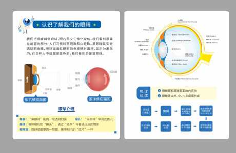 源文件下载【眼科认识我们的眼睛科普海报展板】编号：34470024427517943