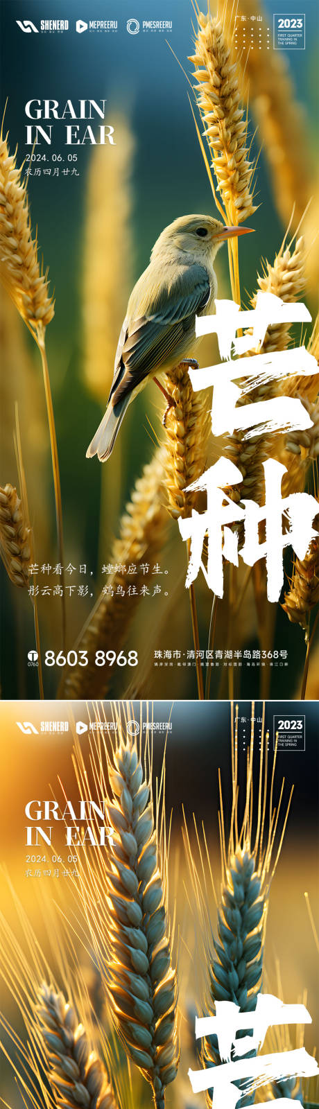 源文件下载【芒种节气海报】编号：70100024294821216