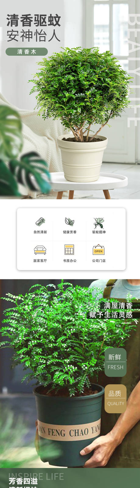 源文件下载【植物促销电商详情】编号：99150024662047622