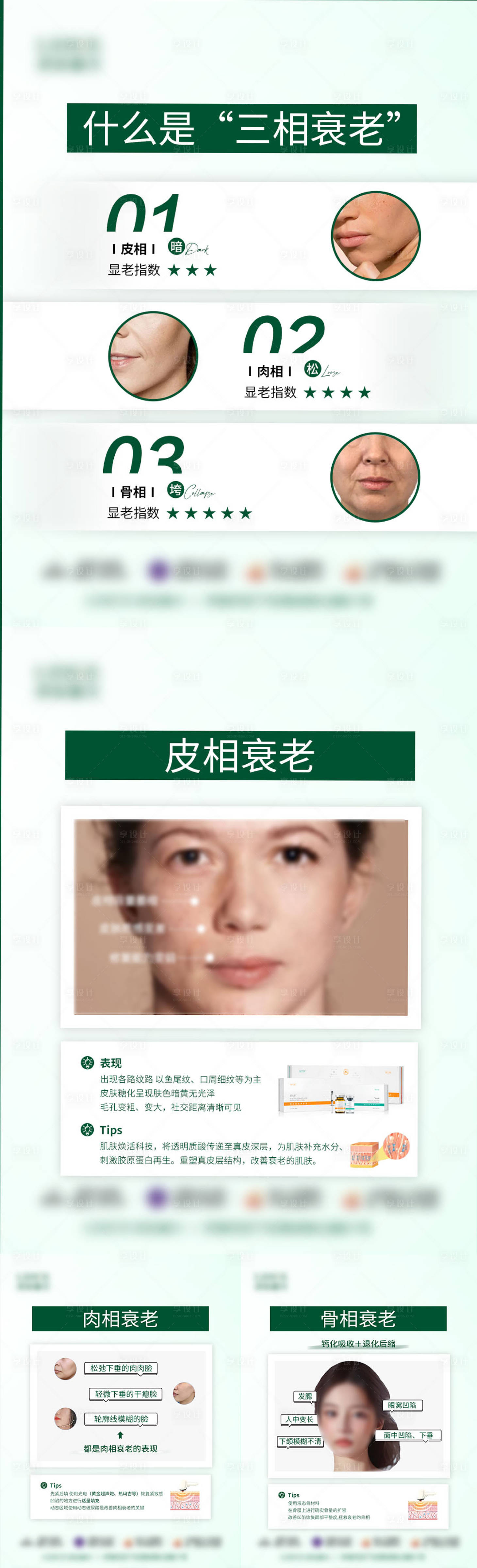 源文件下载【享设计】搜索编号：10860025287948561【三相衰老科普海报】